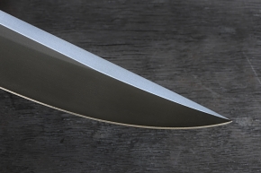 zgm 22 corax 8-2022 5041